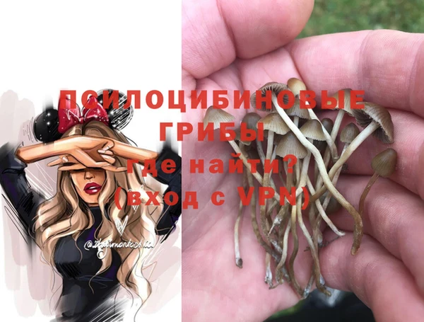 МДПВ Богородицк