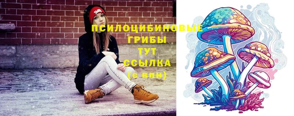 МДПВ Богородицк
