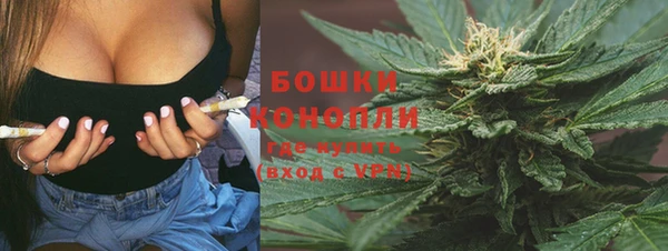МДПВ Богородицк
